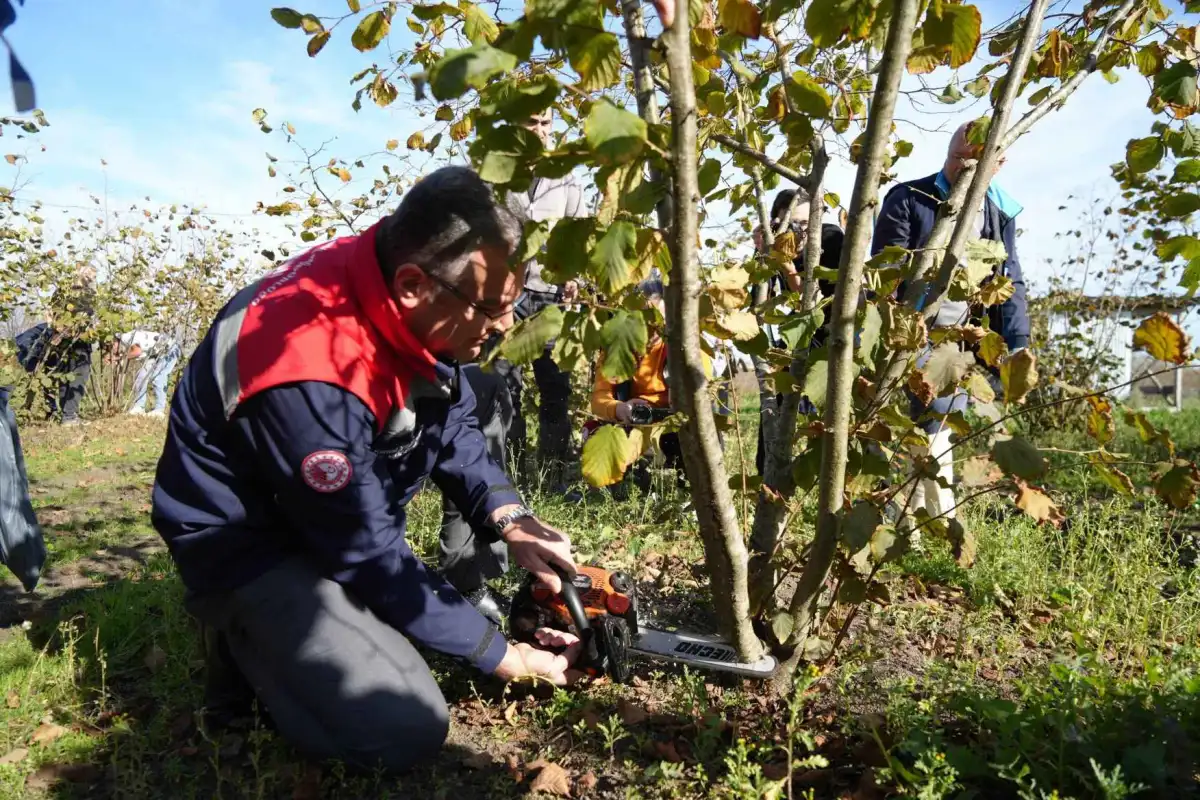 Haselnuss-Pflegekalender Februar