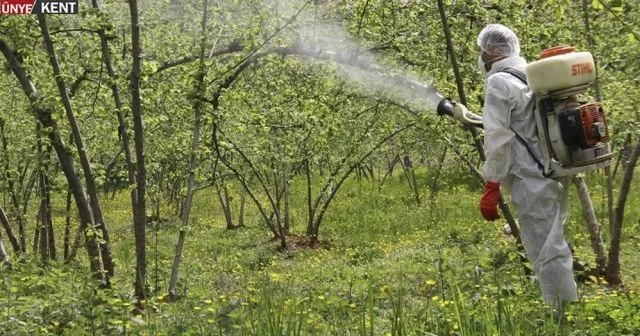 Fındık İlaçlama Takvimi: Tüm Zararlılar İçin Yıllık Program