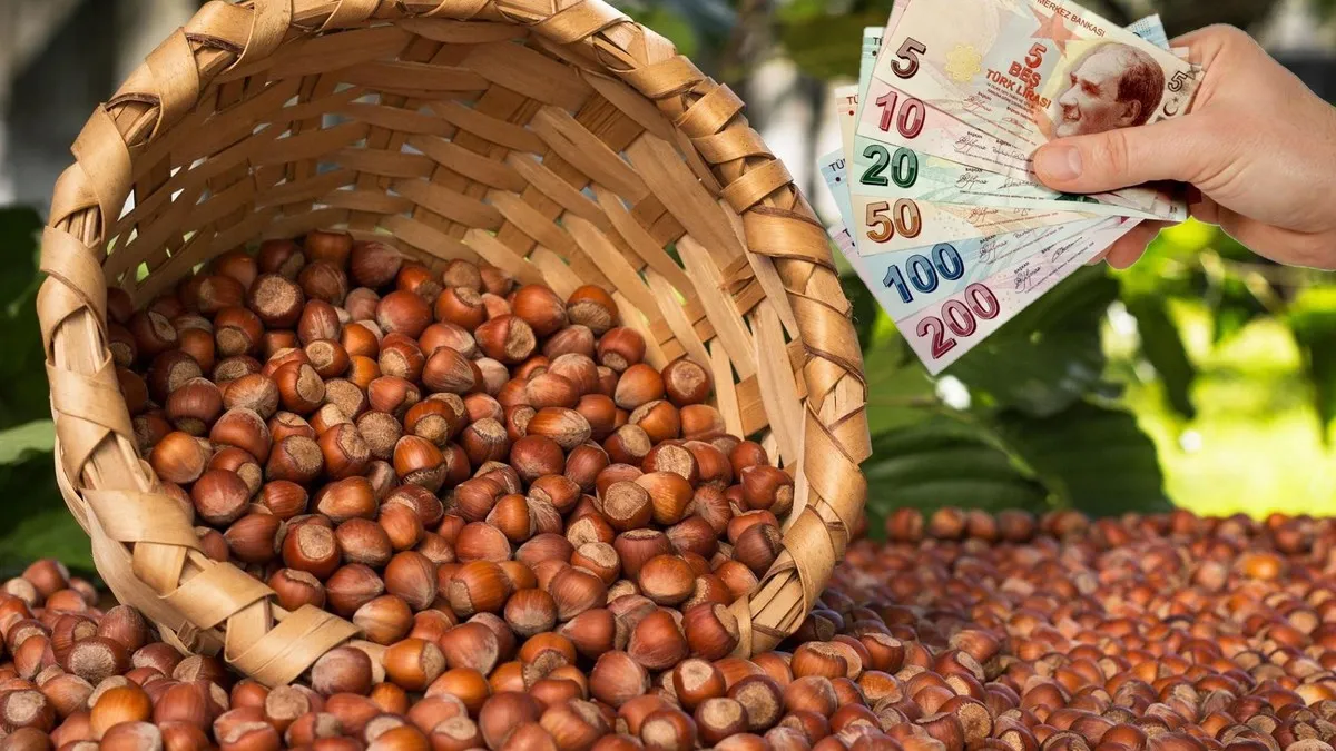 2026'da Destek Sistemi Değişti: Temel Destek Nedir, Ne Kadar Alacaksınız?