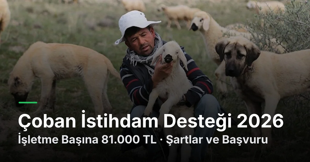 Çoban İstihdam Desteği 2026: İşletme Başına 81.000 TL, Şartlar ve Başvuru
