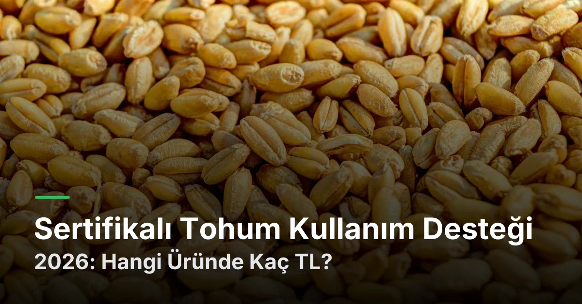 Sertifikalı Tohum Kullanım Desteği 2026: Hangi Üründe Kaç TL?